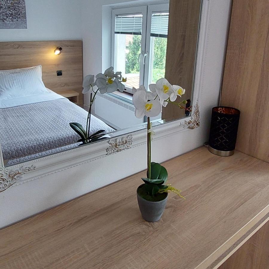 Apartment Roosevelt بلغراد المظهر الخارجي الصورة